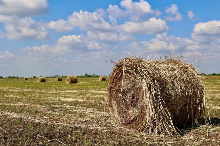 Победитель «Агростартапа»: 4 млн рублей на астраханский сенокос