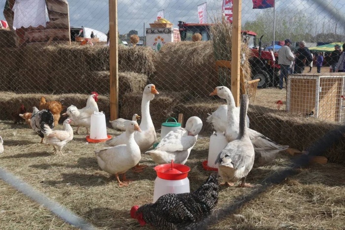 В Астраханской области прошел третий Агрофестиваль 