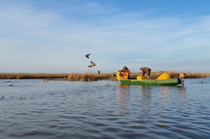 В Лиманском районе выпустили в естественную среду обитания 220 уток