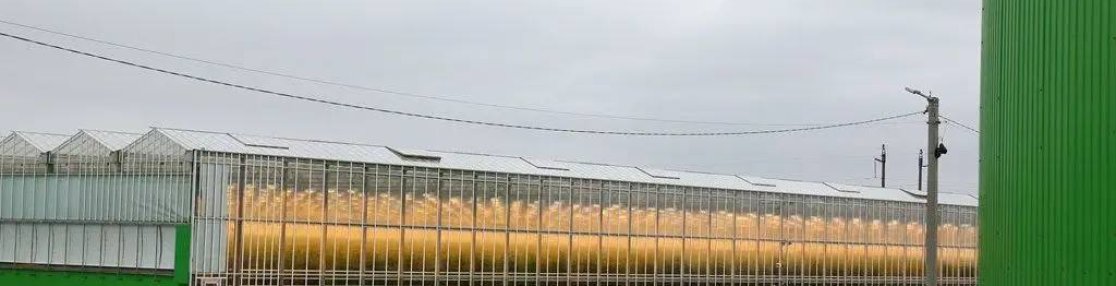 Инвестиционный план Астраханской области на 2025–2030 годы признан лучшим на федеральном уровне