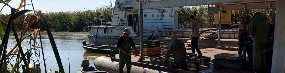Служба занятости трудоустроила на осеннюю путину более 700 астраханцев