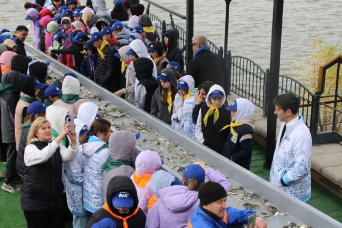 В Астраханской области выпустили около 27 тысяч молоди сазана